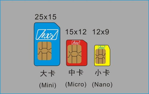 數字賦能，服務至上 高品質移動支付物聯卡打造數字文化創意新生態